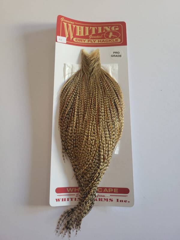 Whiting Pro Grade Cree Cape 1A