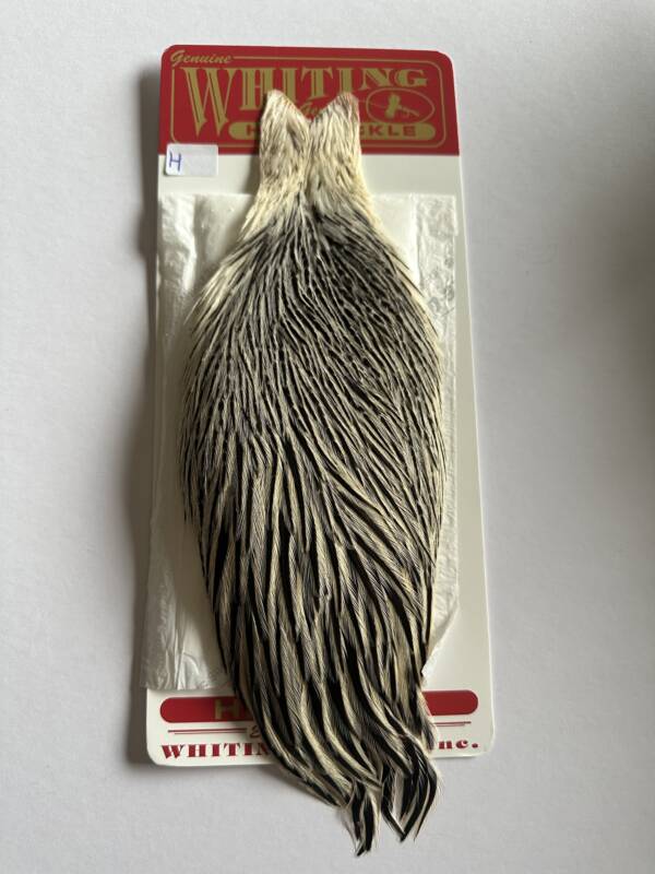 Whiting Hen Cape Silver Badger H