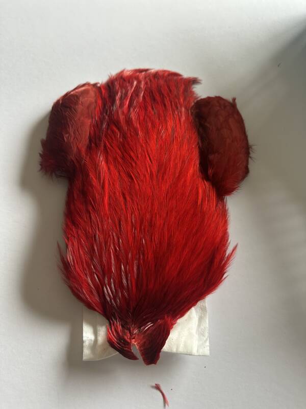 Whiting 4 B's Rooster Cape White dyed Red