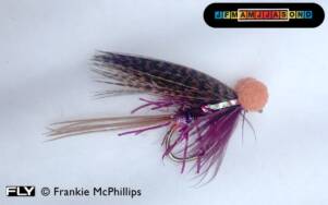 FLY Claret Sparkle Dabbler Booby
