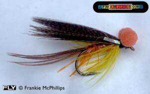 FLY International Sparkle Dabbler Booby (Orange)