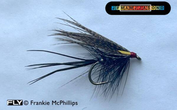 FLY UV Black Biot Dabbler