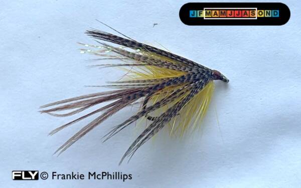 FLY UV International Dabbler