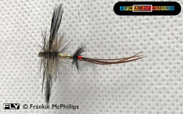 FLY Atkin's Spent Variant