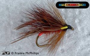 Fiery Brown Sedgehog