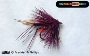 FLY Claret (Muddler) Daddy