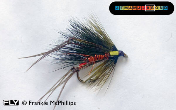 FLY Orange Sparkle Sedgehog