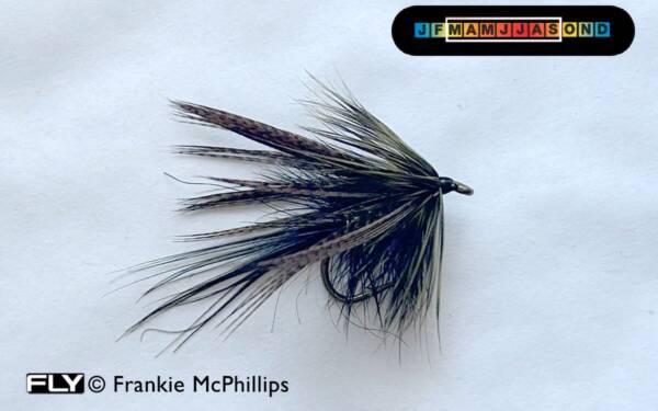 FLY UV Sooty Olive Dabbler