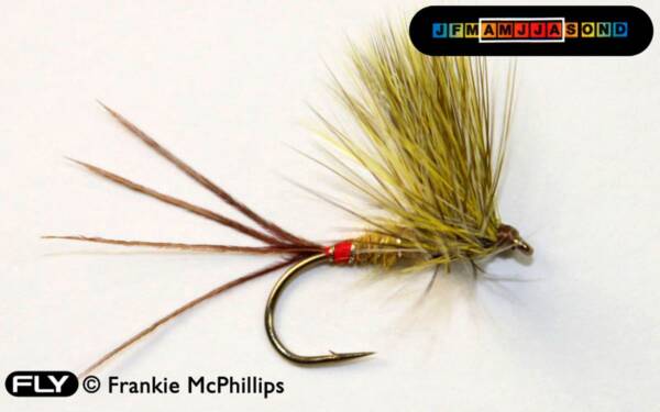 FLY Mosley Mayfly Flat