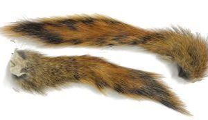 Premier Angling - Waspi Pine Squirrel Tails 2pk