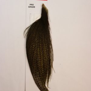 Premier Angling - Whiting Pro Grade 1/2 Cape Grizzly Dyed  Dark Olive