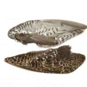 Premier Angling - Snipe Whole Wings