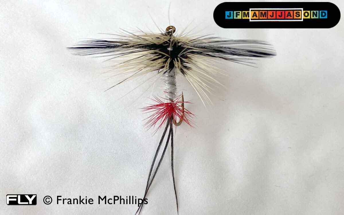 Premier Angling - FLY Lough Arrow Spent (Red Hackle)