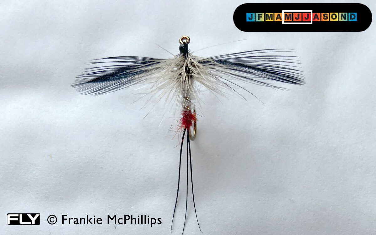 Premier Angling - FLY Lough Arrow Spent