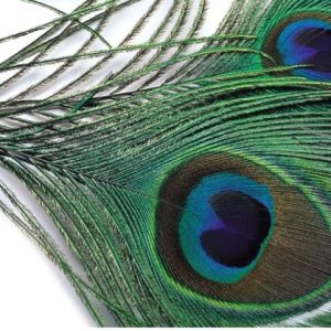 Premier Angling - Peacock Eye Top
