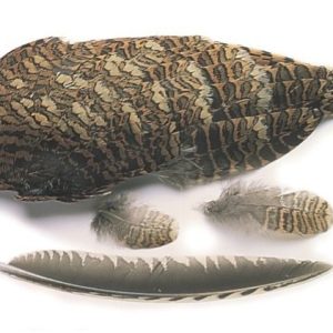 Premier Angling - Woodcock Wings