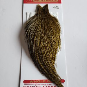 Premier Angling - Whiting Pro Grade Cape Grizzly Dyed Dark Olive