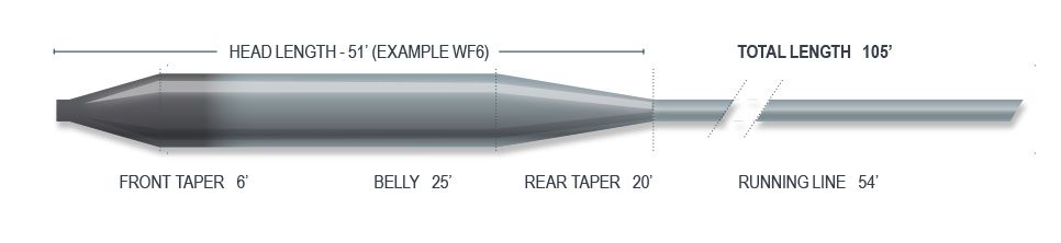asf-mt-taper