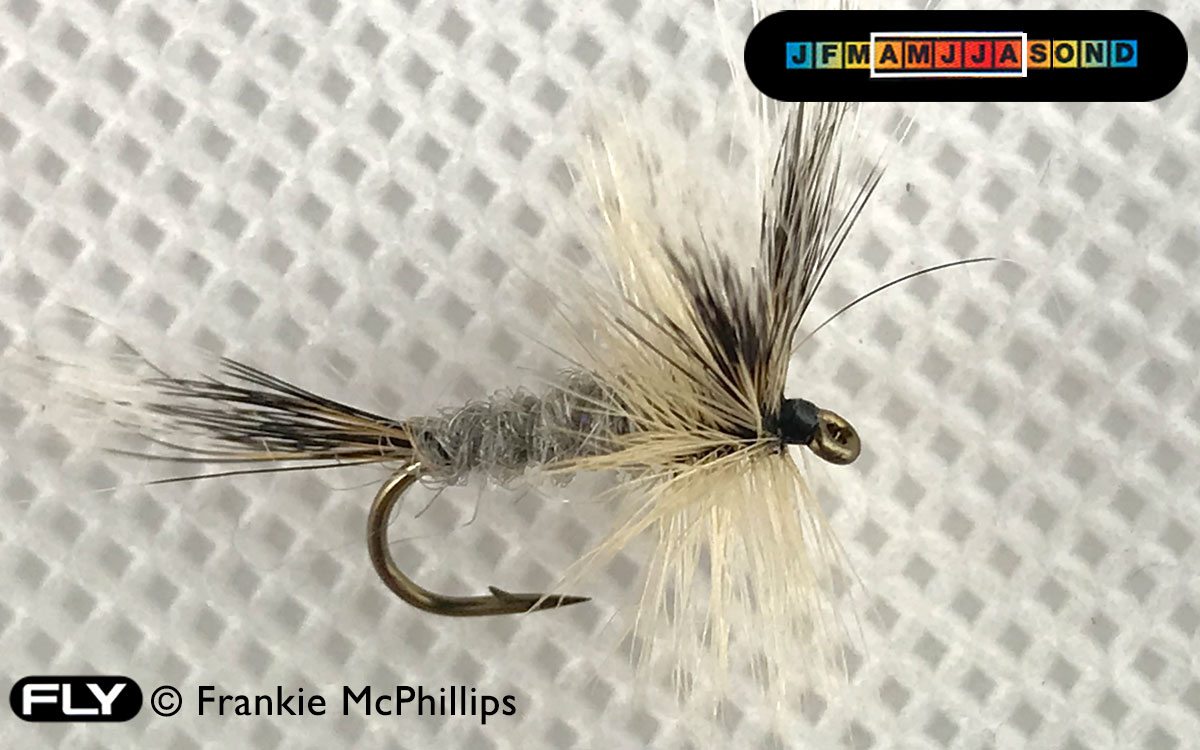 Moss Mayfly Grey