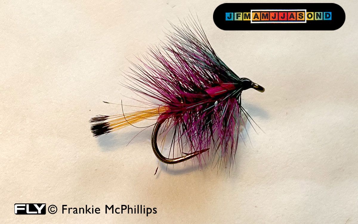 FLY The Magenta Pink Biot Bumble