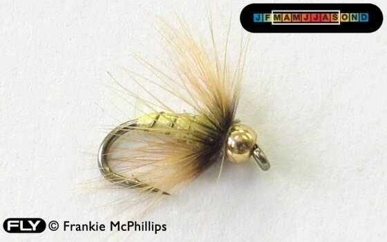 FLY Goldhead Greenwells