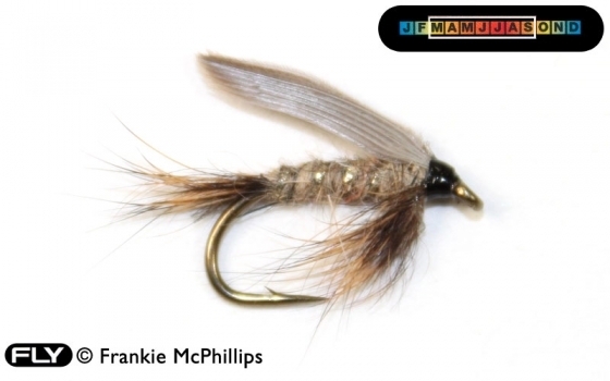 FLY Hare’s Ear (Winged)