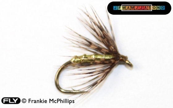 FLY Partridge & Olive