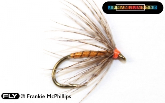 FLY Partridge & Orange