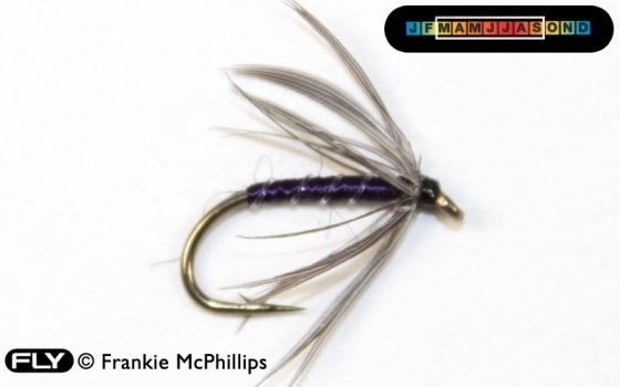 FLY Snipe & Purple