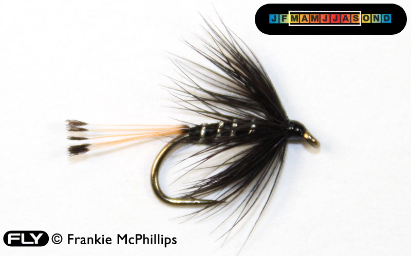 FLY Black Pennell