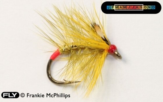 FLY Olive & Gold Snatcher (JC)