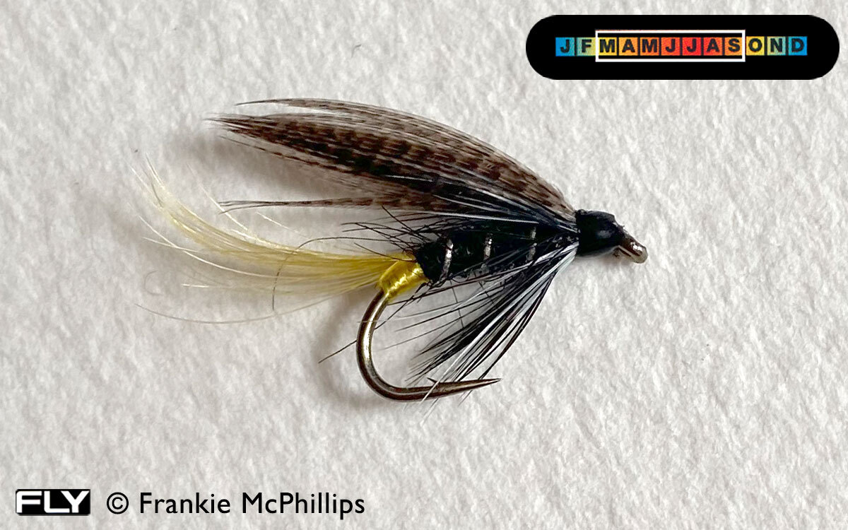 FLY Connemara Black