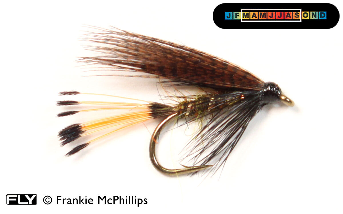 FLY Sooty Olive
